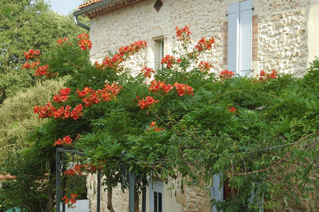 FauchDomaine De Cimelia别墅 外观 照片
