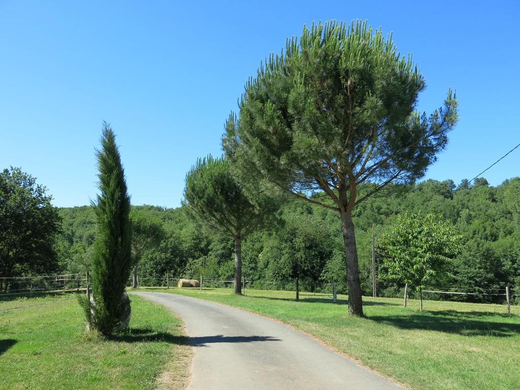 FauchDomaine De Cimelia别墅 外观 照片